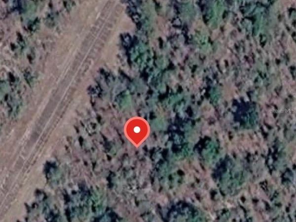 LYNNHAVEN LANE, CHIPLEY, FL 32428