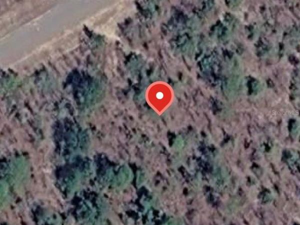 ALBION DRIVE, Unit 35, CHIPLEY, FL 32428