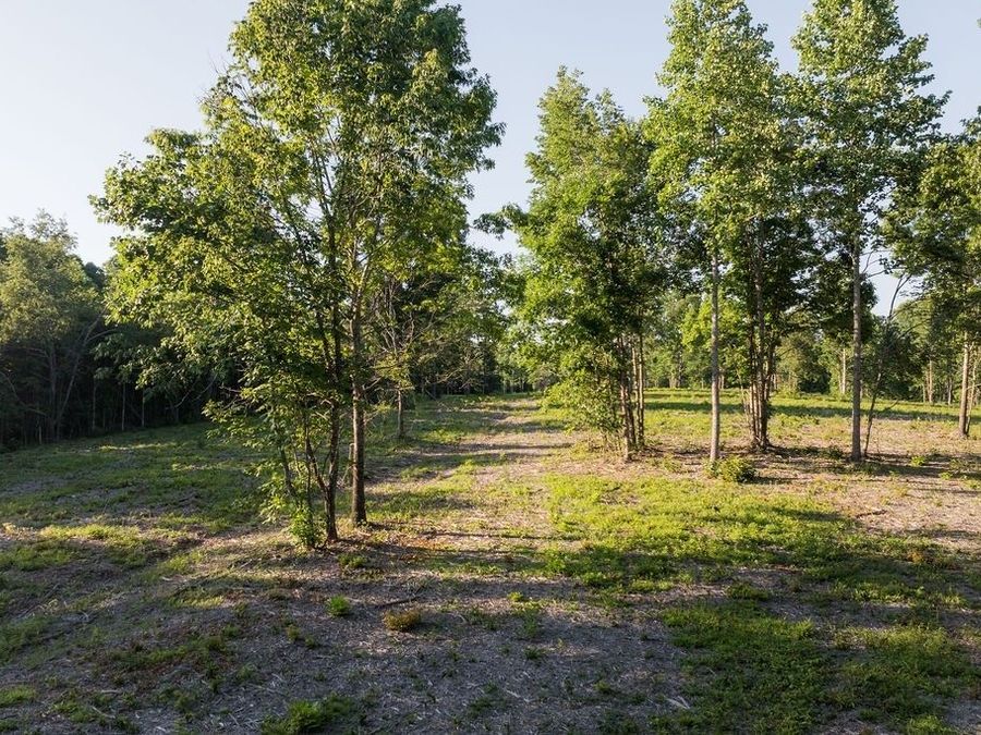 Property Image 41