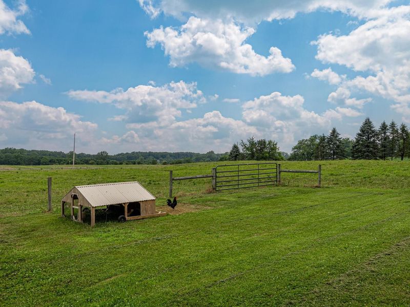 7245 Township Road 76, Mount Gilead, OH 43338 Photo 11