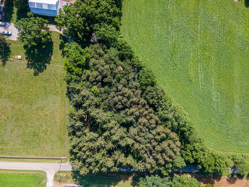 7245 Township Road 76, Mount Gilead, OH 43338 Photo 23