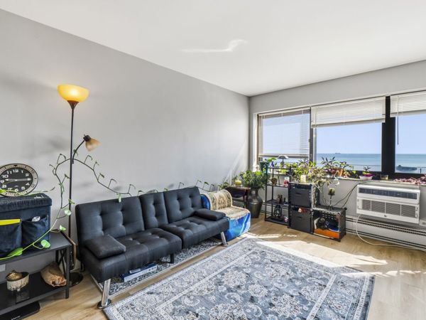 7337 S South Shore Drive , Unit 211, Chicago, IL 60649