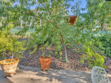 21930 Placer Hills Rd, Colfax, CA 95713 Photo