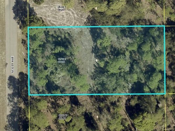 1318 SCOTT AVENUE , LEHIGH ACRES, FL 33972