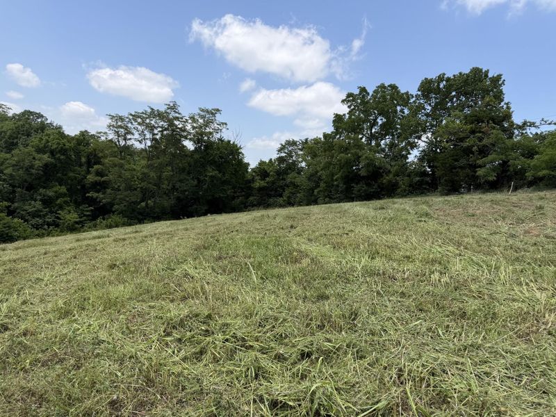 14385 Kentucky 330, Corinth, KY 41010 Photo 12