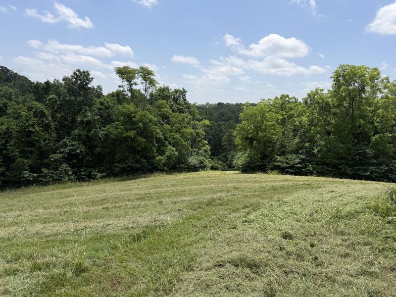 14385 Kentucky 330, Corinth, KY 41010 Photo 6