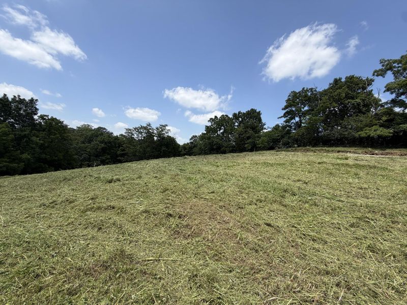 14385 Kentucky 330, Corinth, KY 41010 Photo 8