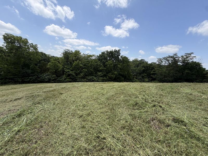 14385 Kentucky 330, Corinth, KY 41010 Photo 9
