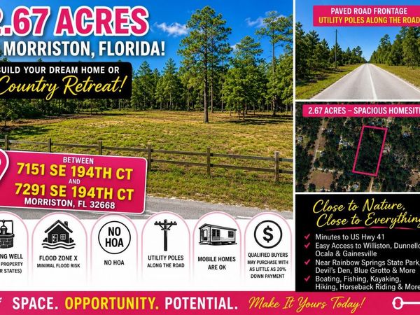 SE 194TH COURT , MORRISTON, FL 32668
