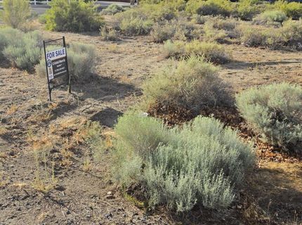 1195 Sarah Belle Lane, Fallon, NV 89406 Photo