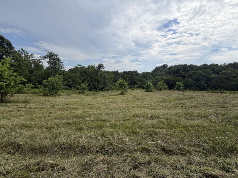 00 Swope Natlee Road, Corinth, KY 41010 Photo 10