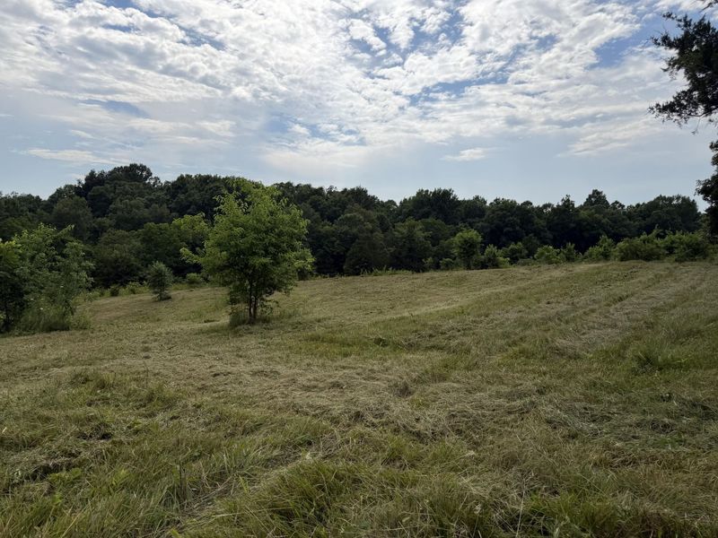 00 Swope Natlee Road, Corinth, KY 41010 Photo 11