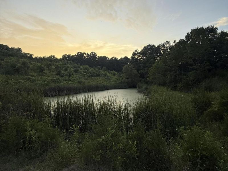 00 Swope Natlee Road, Corinth, KY 41010 Photo 13