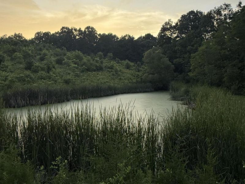 00 Swope Natlee Road, Corinth, KY 41010 Photo 14