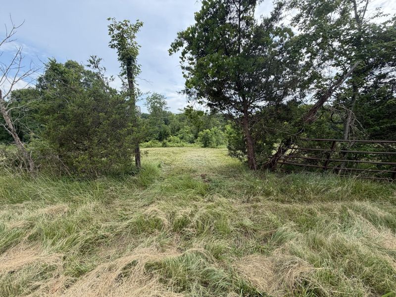 00 Swope Natlee Road, Corinth, KY 41010 Photo 2