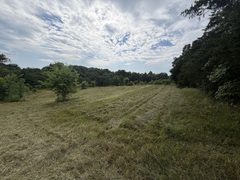 00 Swope Natlee Road, Corinth, KY 41010 Photo 3