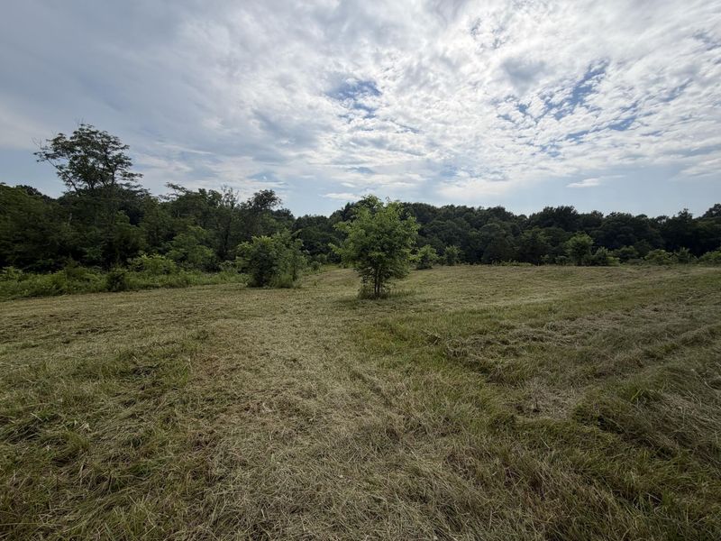 00 Swope Natlee Road, Corinth, KY 41010 Photo 4