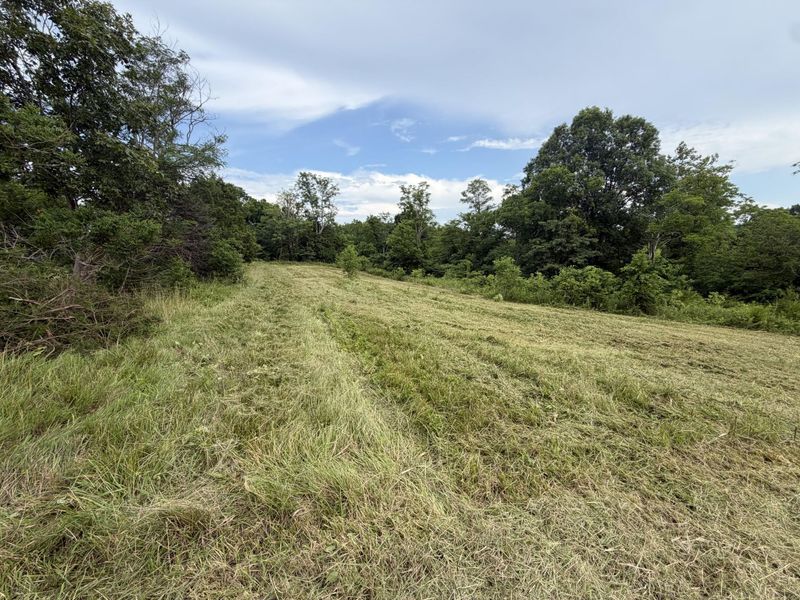 00 Swope Natlee Road, Corinth, KY 41010 Photo 5