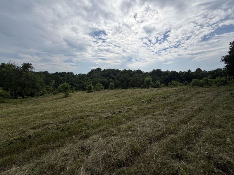 00 Swope Natlee Road, Corinth, KY 41010 Photo 6