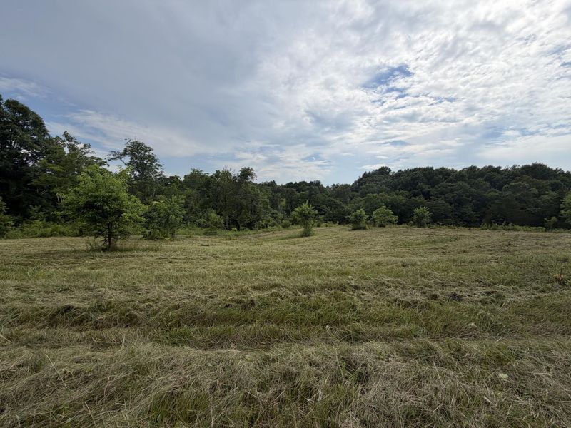 00 Swope Natlee Road, Corinth, KY 41010 Photo 7