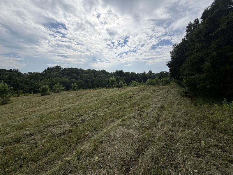 00 Swope Natlee Road, Corinth, KY 41010 Photo 8