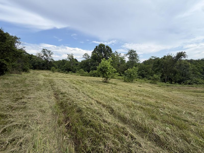 00 Swope Natlee Road, Corinth, KY 41010 Photo 9