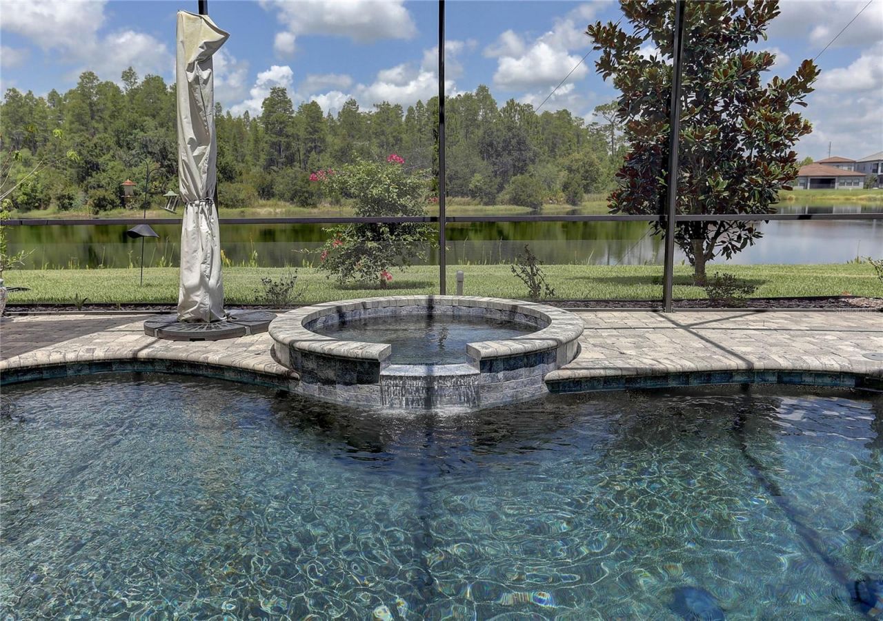 18014 Woodland View Drive, Lutz, FL 33548 Photo