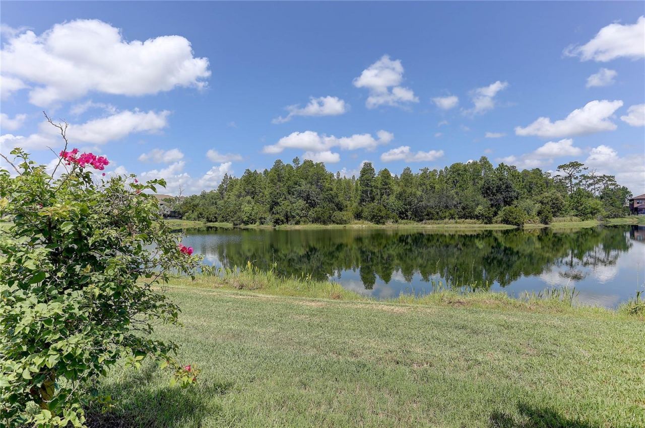 18014 Woodland View Drive, Lutz, FL 33548 Photo