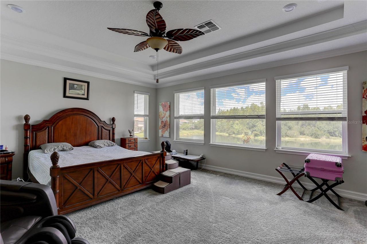 18014 Woodland View Drive, Lutz, FL 33548 Photo