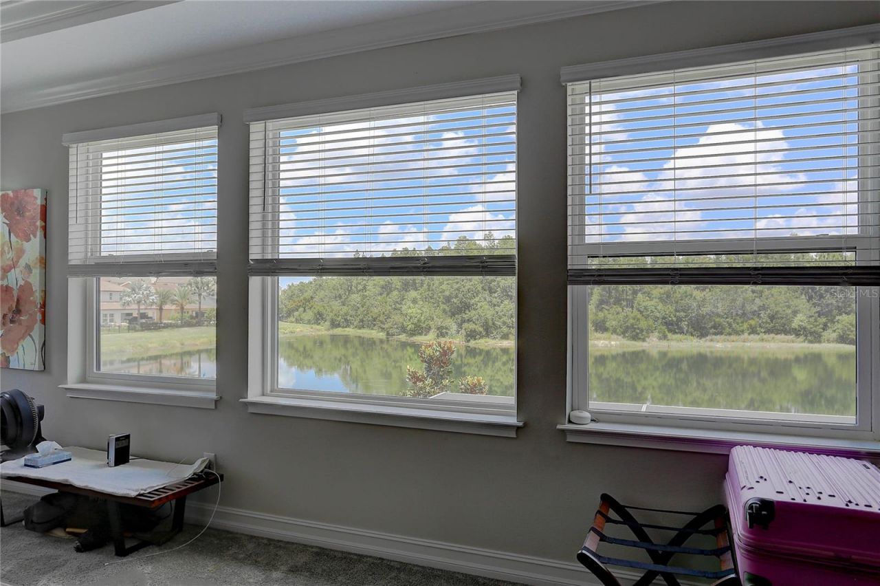 18014 Woodland View Drive, Lutz, FL 33548 Photo