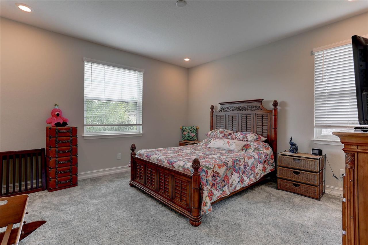 18014 Woodland View Drive, Lutz, FL 33548 Photo