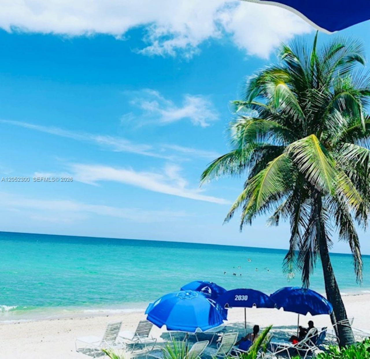 215 SE 3rd Ave , Unit 306C, Hallandale Beach, FL 33009 Photo