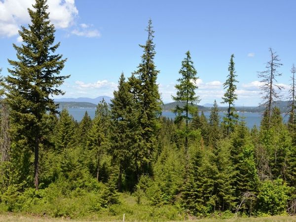 5343 S Jackleg TRL , Harrison, ID 83833