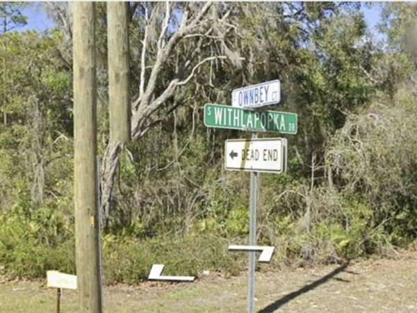 11375 E OWNBEY COURT , FLORAL CITY, FL 34436