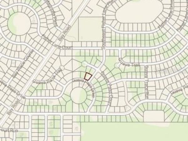BLK 1261 LOT 16 SE FISHER LANE PLACE , OCKLAWAHA, FL 32179
