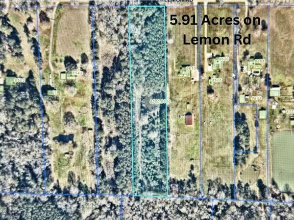 TBD Lemon Rd, Slaughter, LA 70777