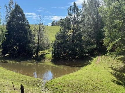 Raquepaw Ln, Jackson, CA 95642 Photo