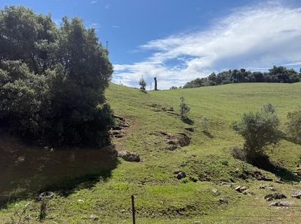 Raquepaw Ln, Jackson, CA 95642 Photo