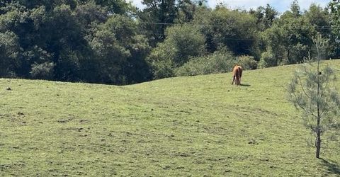 Raquepaw Ln, Jackson, CA 95642 Photo
