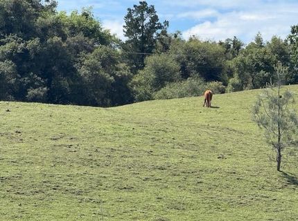 Raquepaw Ln, Jackson, CA 95642 Photo