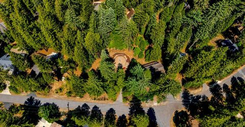 1646 Wawona Way, Arnold, CA 95223 Photo
