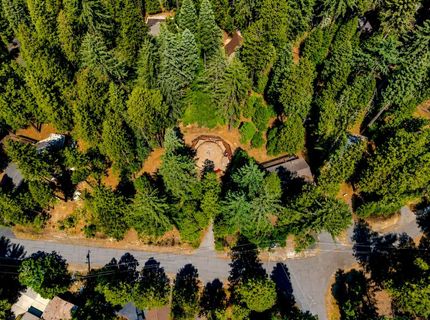 1646 Wawona Way, Arnold, CA 95223 Photo