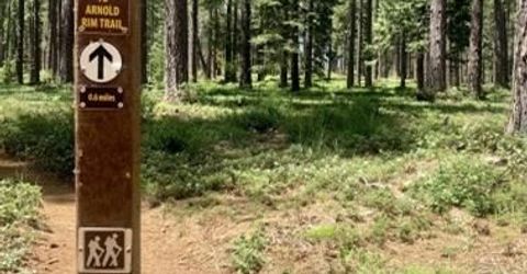 1646 Wawona Way, Arnold, CA 95223 Photo