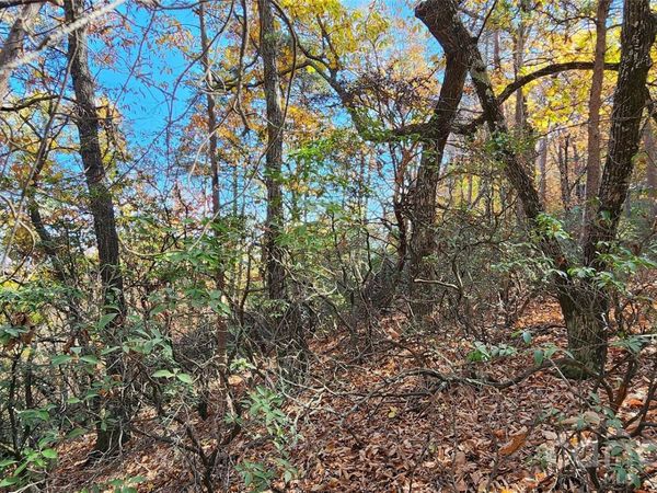 Lot 22 A Pinnacle Parkway, Union Mills, NC 28167
