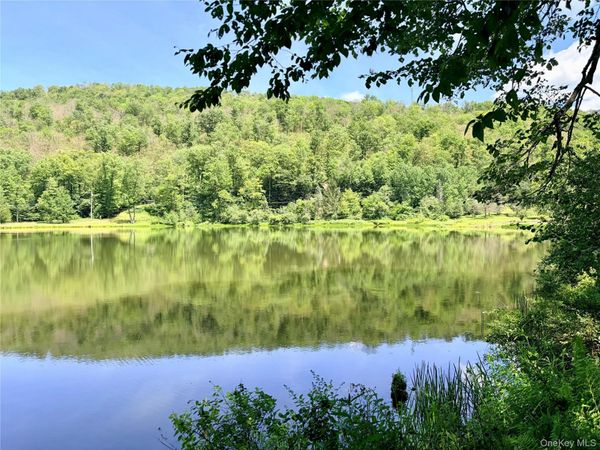 Doyle Road , Roscoe, NY 12776