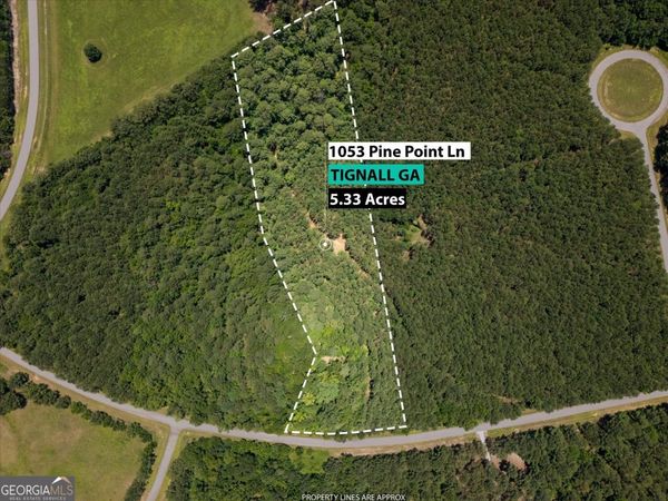1053 Pine Point Lane, Tignall, GA 30668