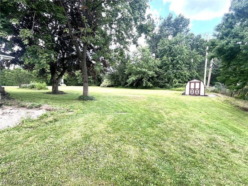 4423 Barrington Drive, Austintown, OH 44515 Photo 3