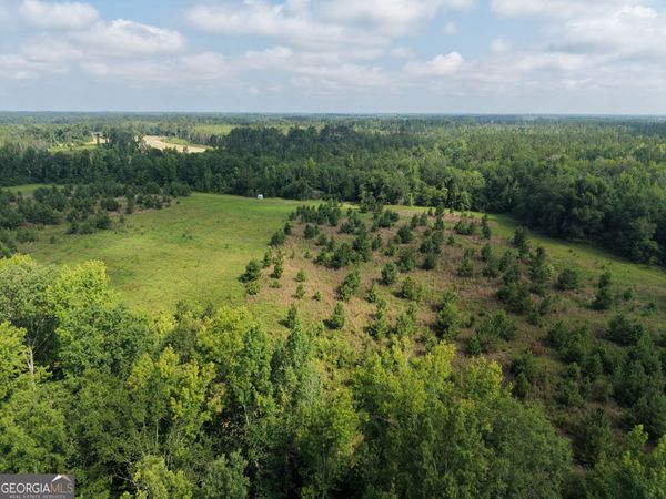 0 Highway 17, Midville, GA 30441