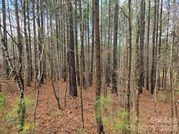225 Cove Wood Drive , Denton, NC 27239