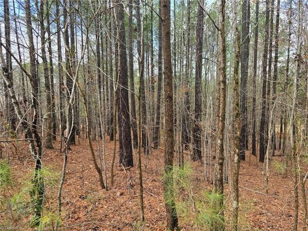 225 Cove Wood Drive , Denton, NC 27239